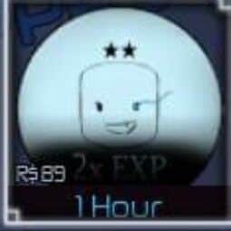 2x Exp 1 Hour — item image