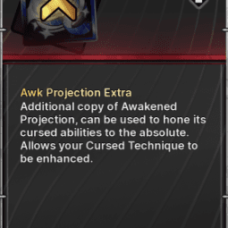 Awakened Projection Extra — item image