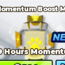 Momentum Boost — item image