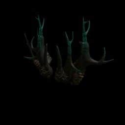 Sinister Branches — item image