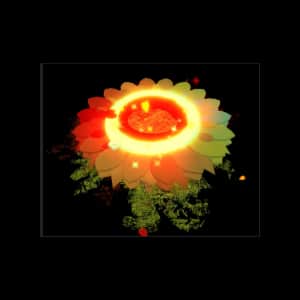 Autumn Halo 2019 — item image