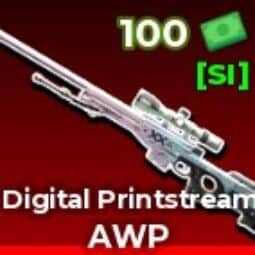 Digital Printstream AWP — item image