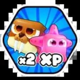 x2 Pet XP — item image